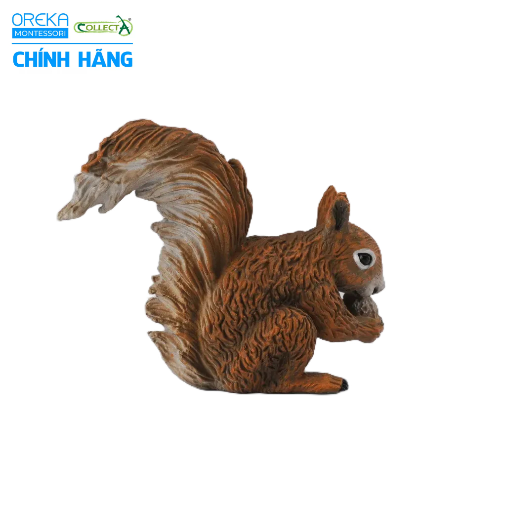 Mô hình động vật: Sóc