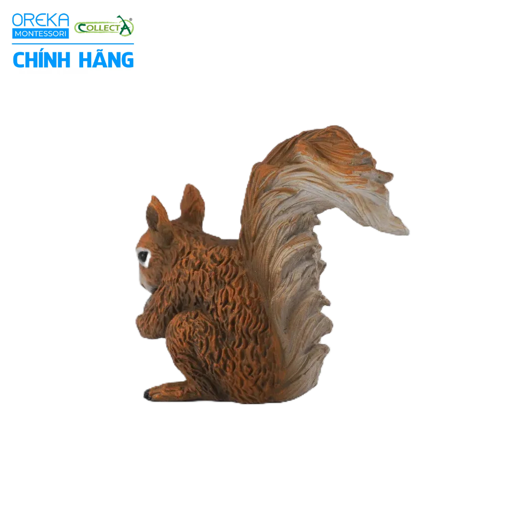 Mô hình động vật: Sóc