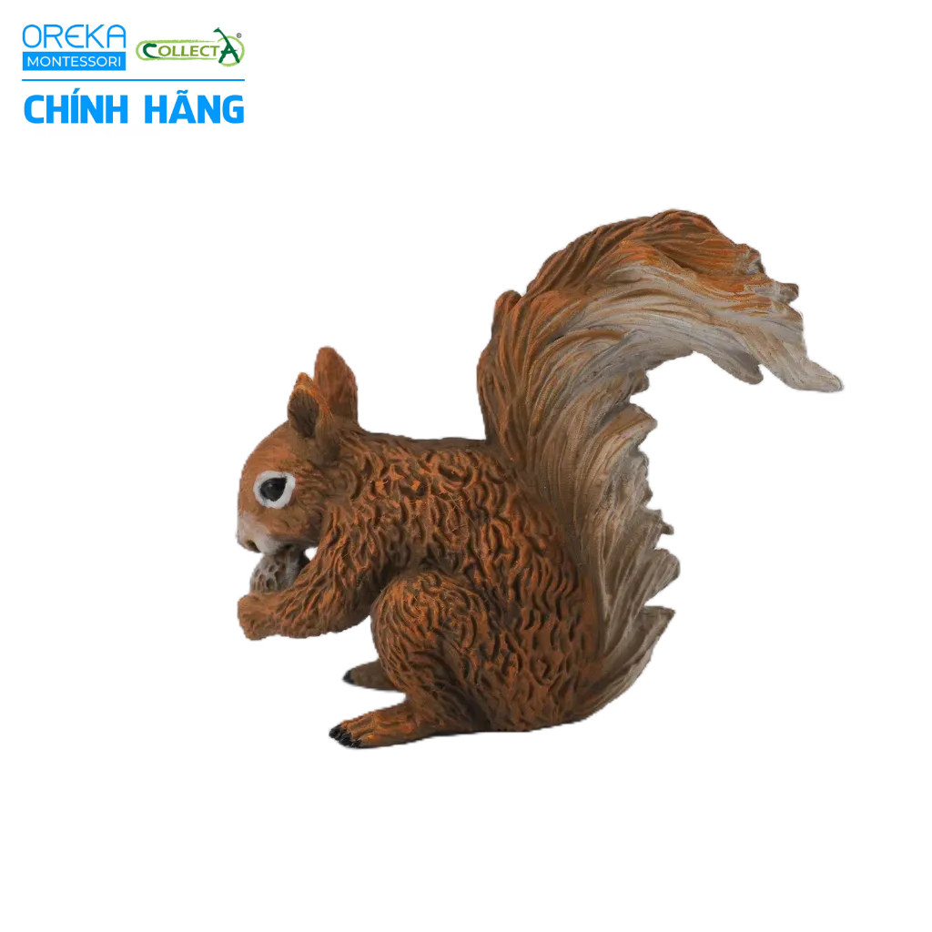 Mô hình động vật: Sóc