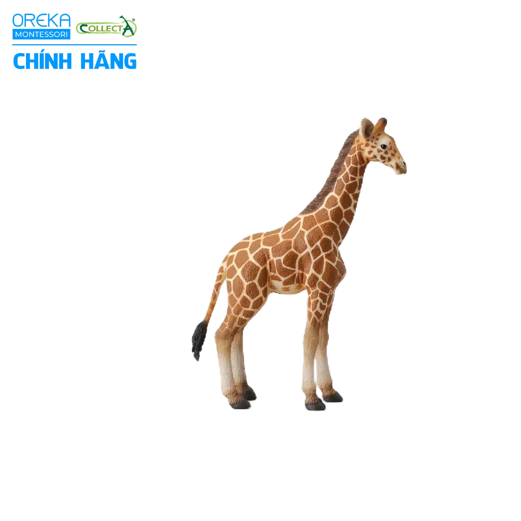 Mô hình động vật: Hươu Cao Cổ con