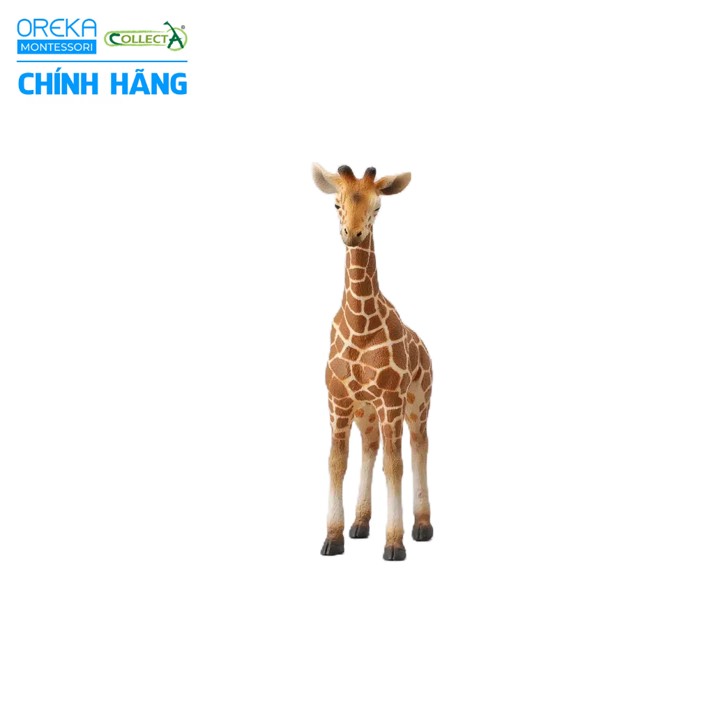 Mô hình động vật: Hươu Cao Cổ con