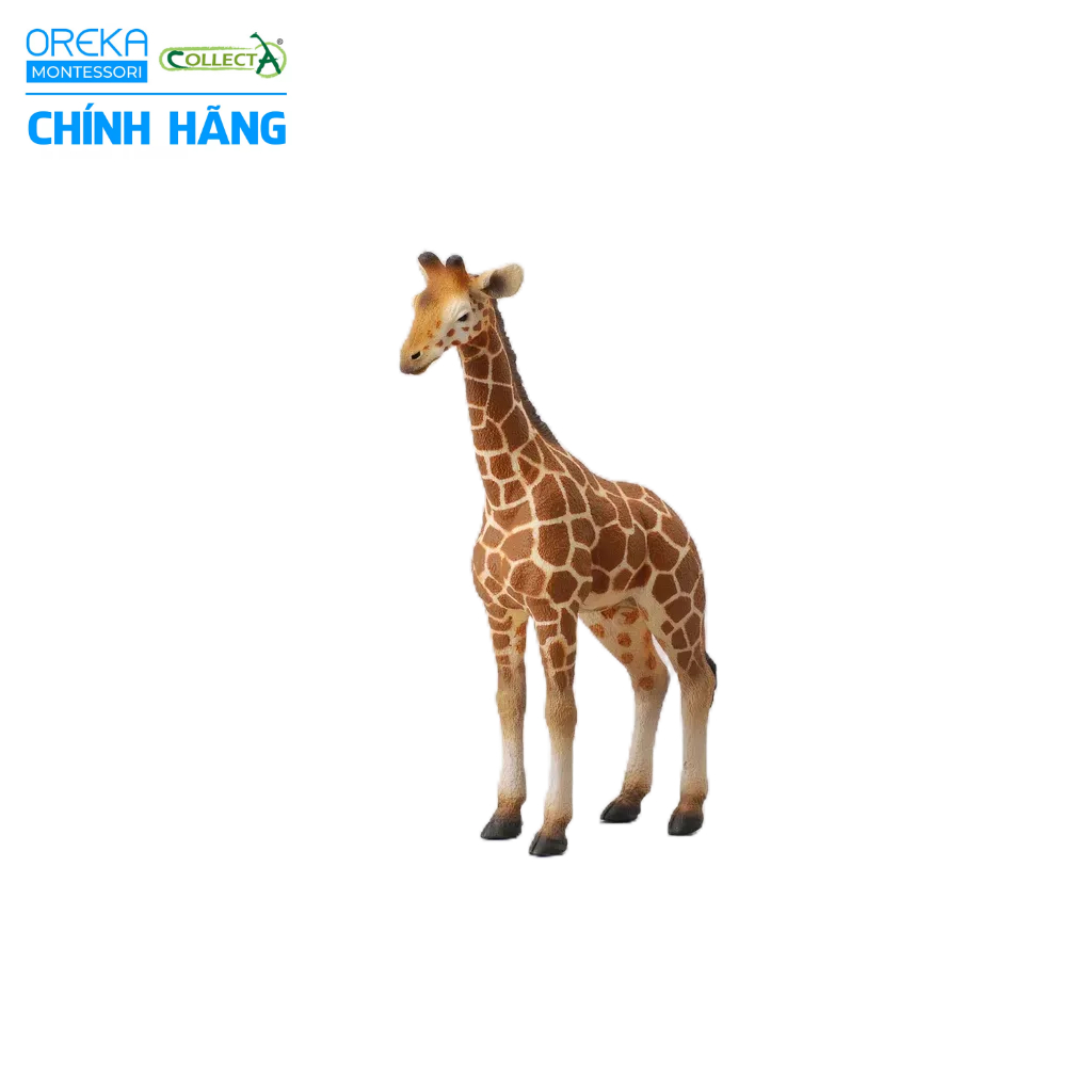 Mô hình động vật: Hươu Cao Cổ con