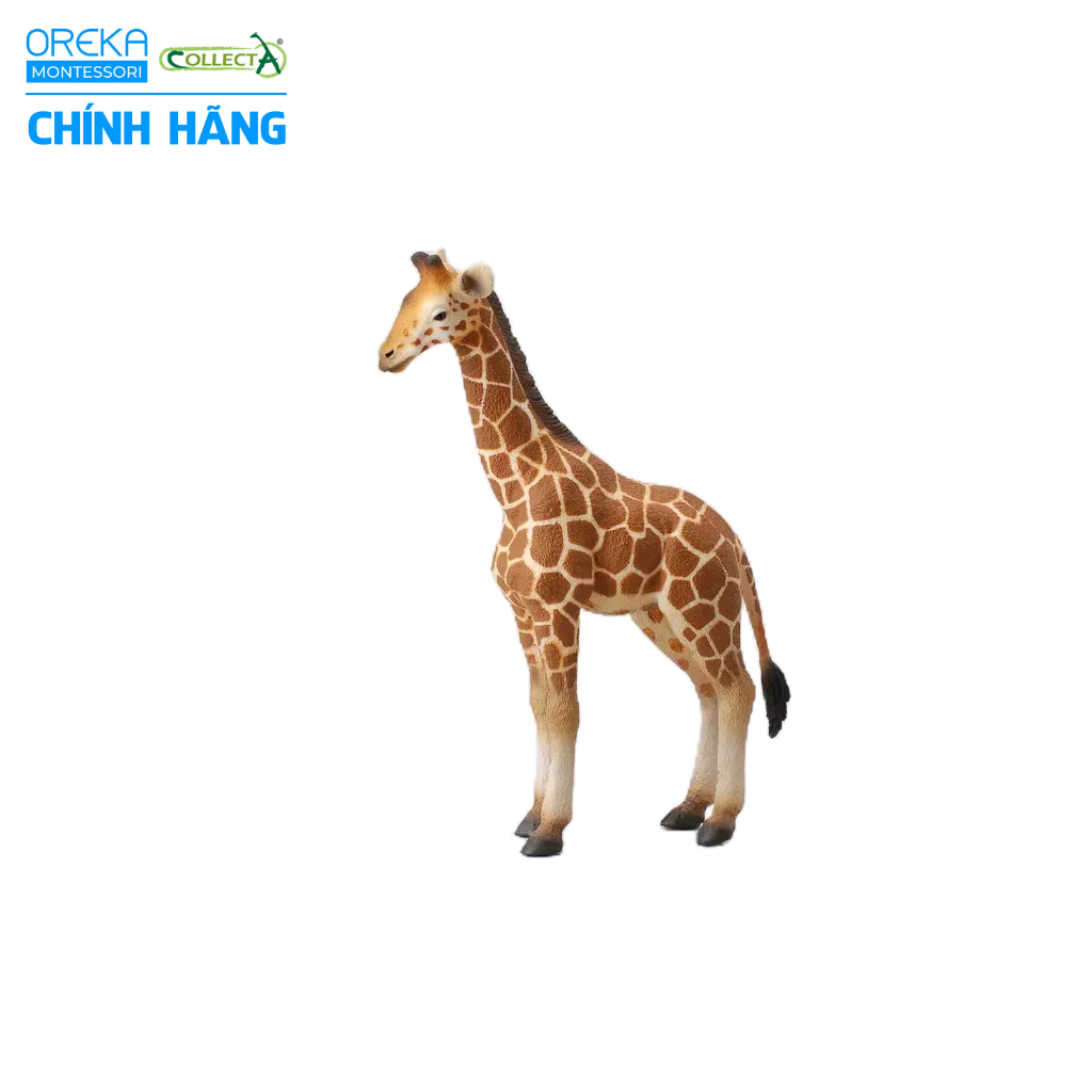 Mô hình động vật: Hươu Cao Cổ con