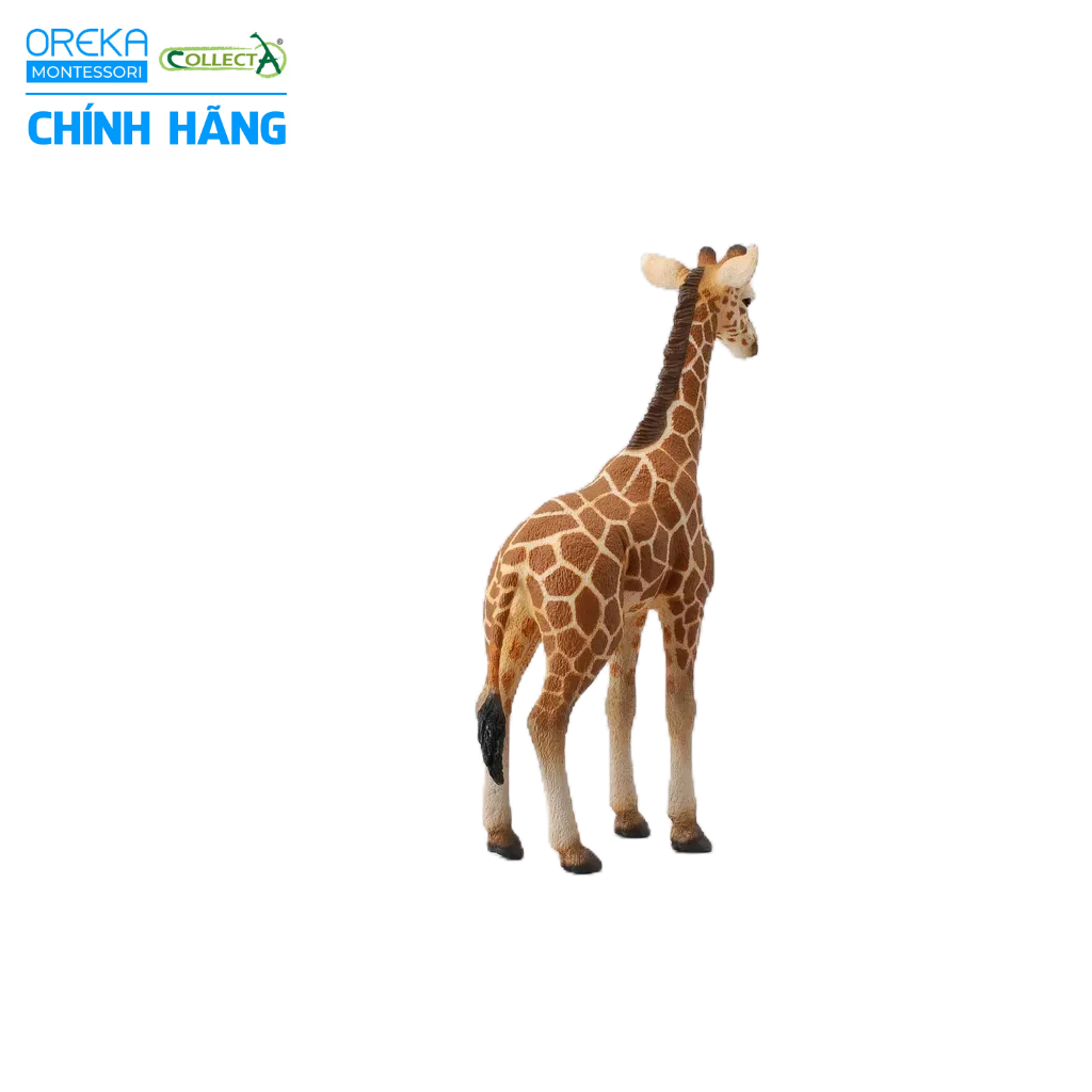 Mô hình động vật: Hươu Cao Cổ con