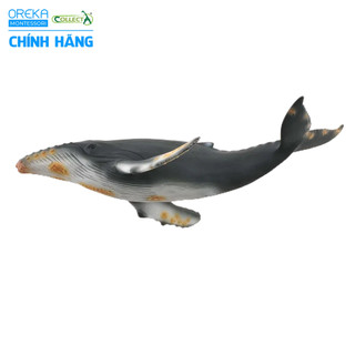 Mô hình động vật: Cá Voi Lưng Gù