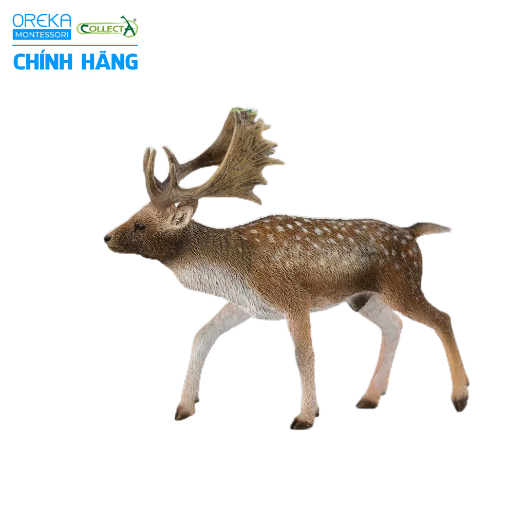 Mô hình động vật: Hươu