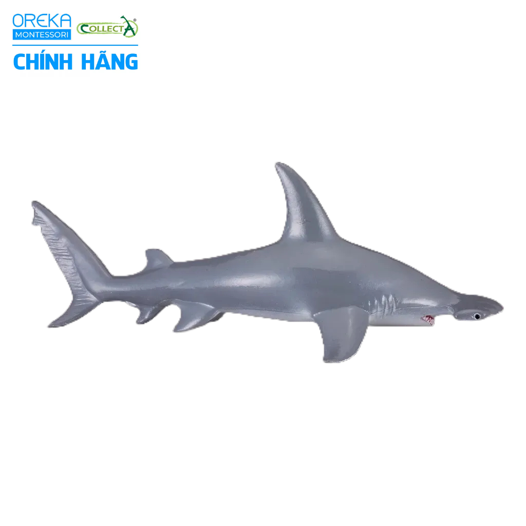 Mô hình động vật: Cá Mập Búa