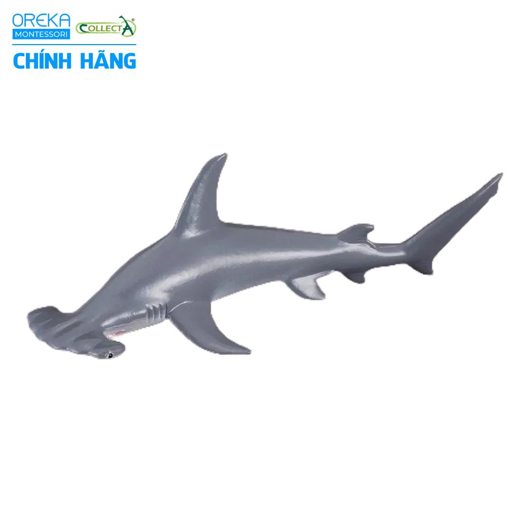 Mô hình động vật: Cá Mập Búa