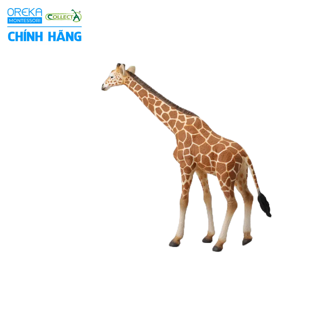 Mô hình động vật: Hươu Cao Cổ