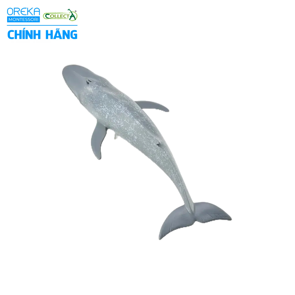 Mô hình động vật: Cá Voi Xanh