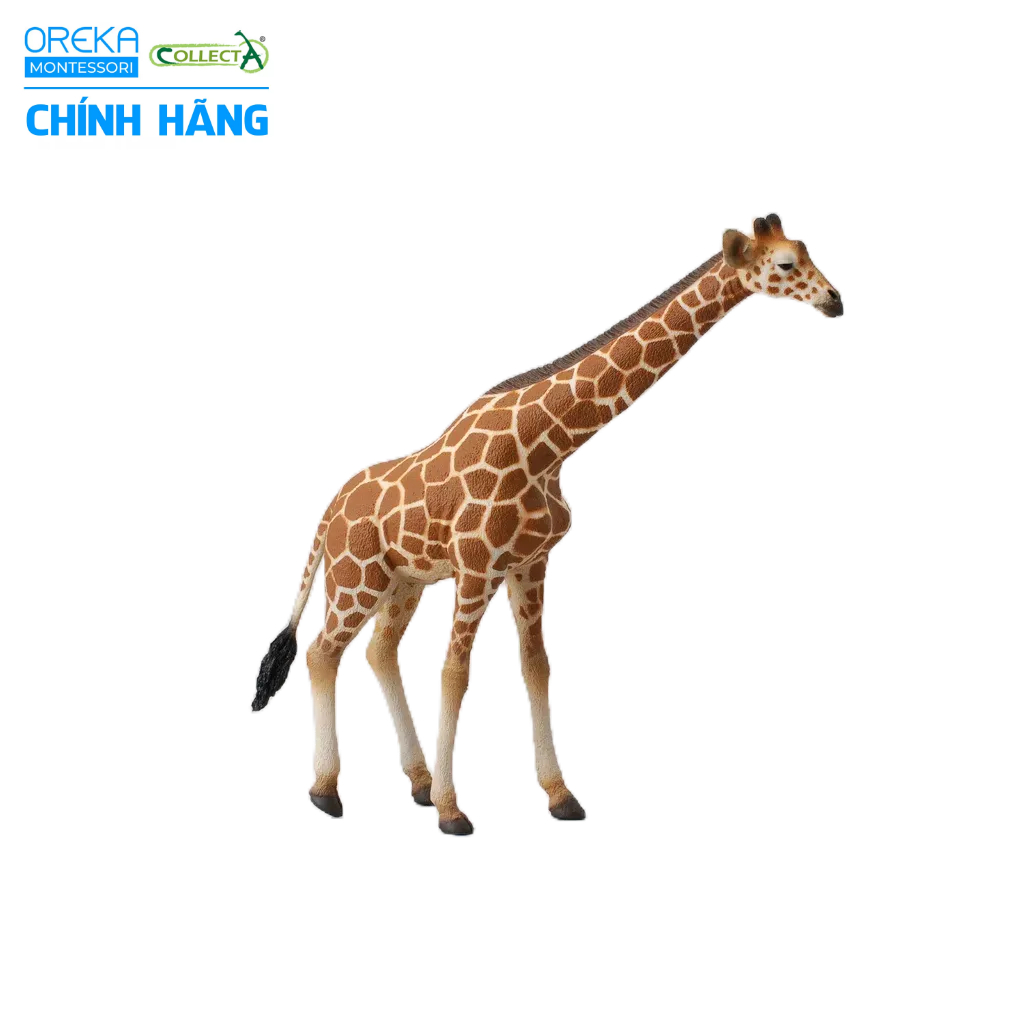 Mô hình động vật: Hươu Cao Cổ