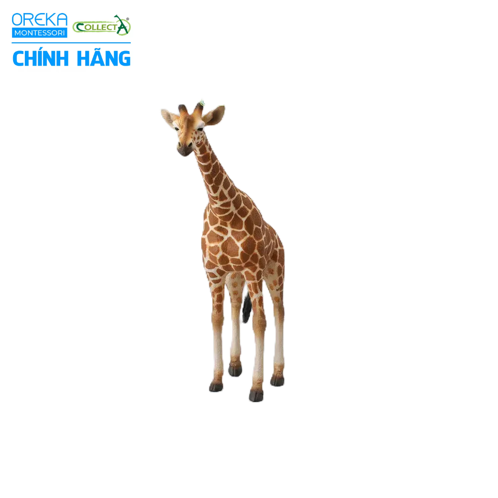 Mô hình động vật: Hươu Cao Cổ