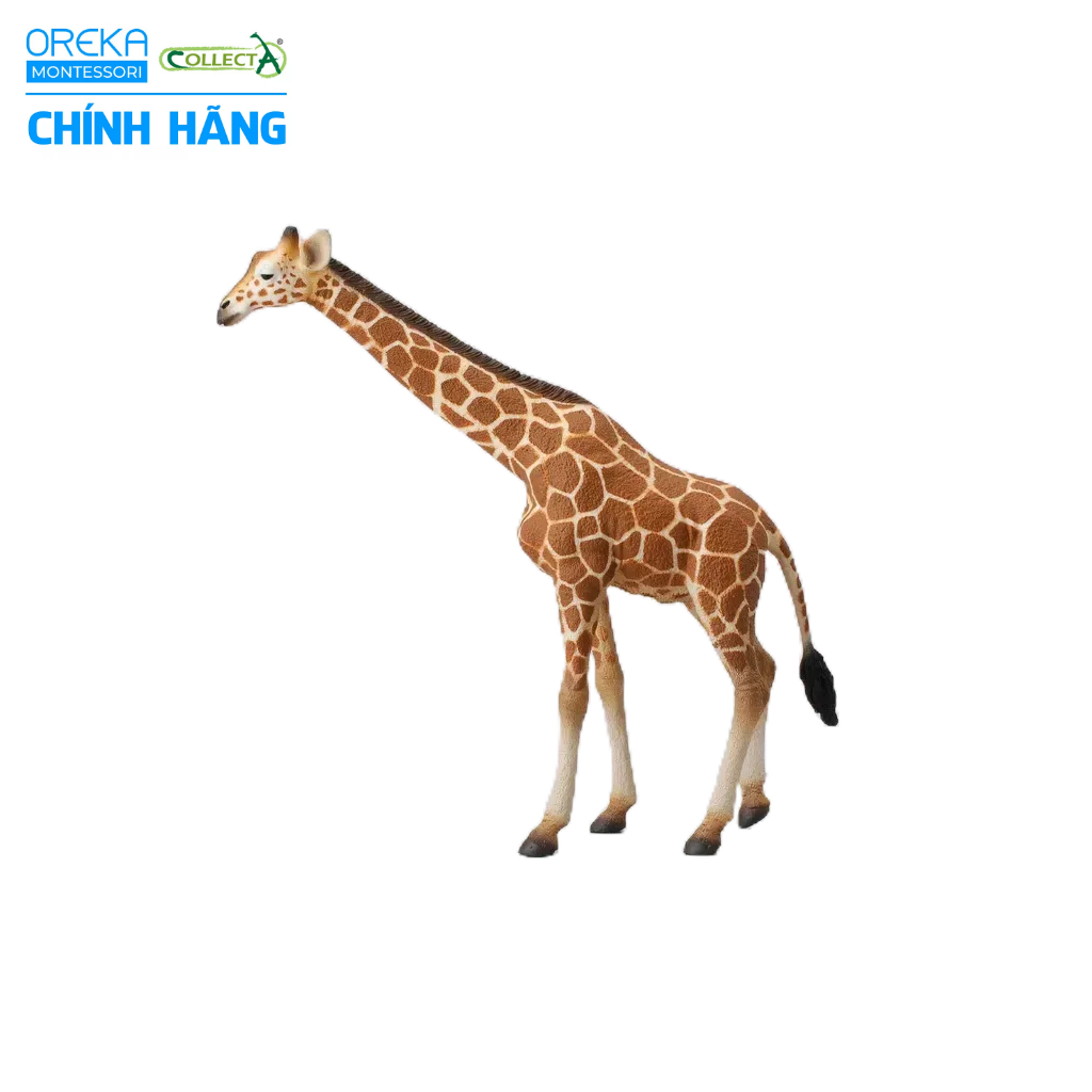 Mô hình động vật: Hươu Cao Cổ