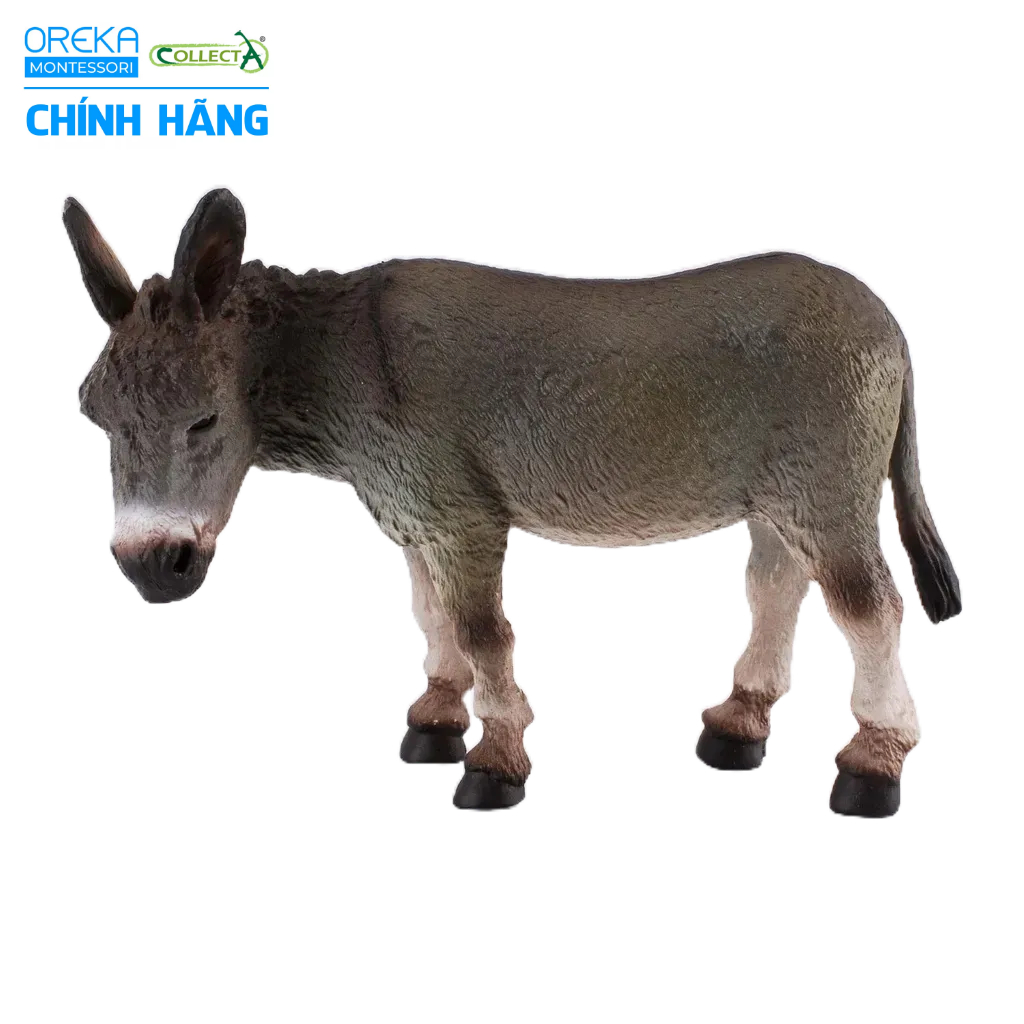 Mô hình động vật: Lừa