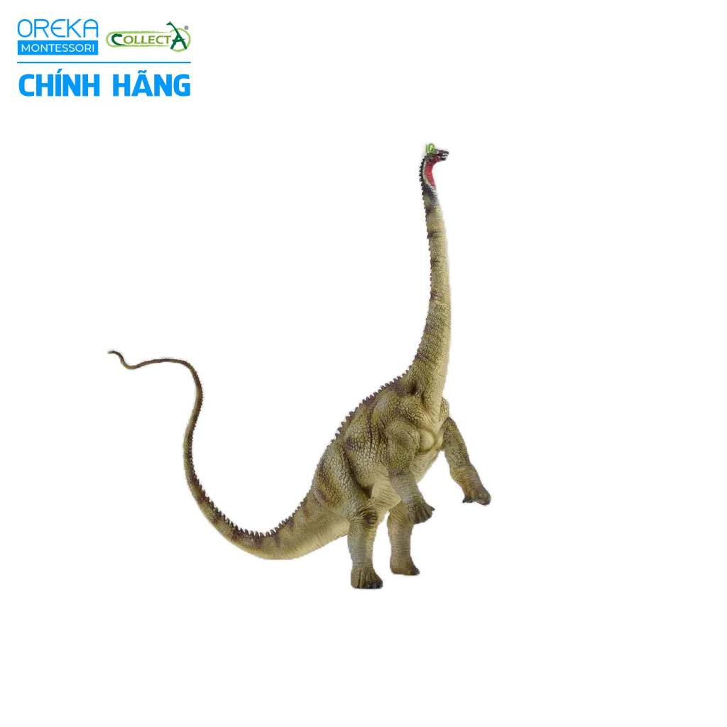 Mô hình động vật: Khủng Long Diplodocus