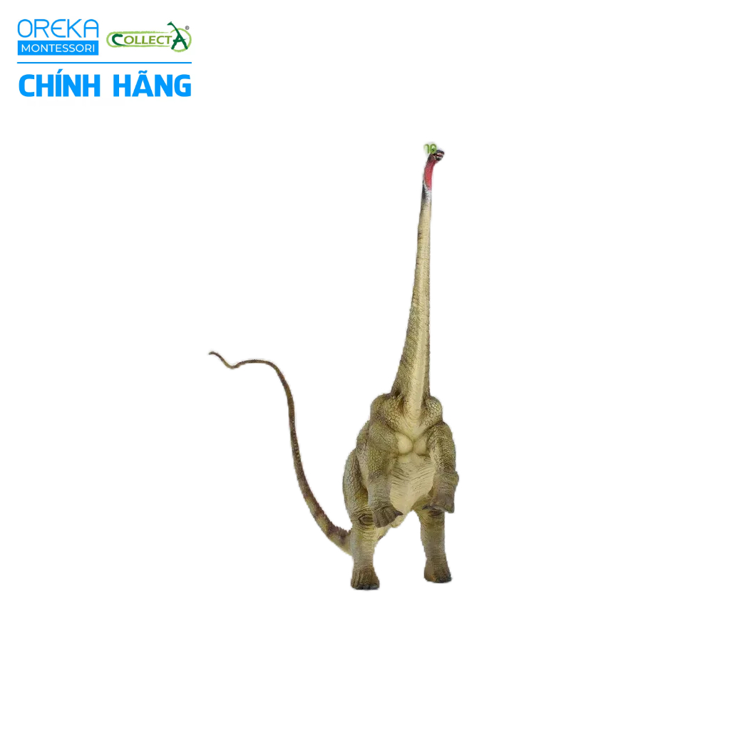 Mô hình động vật: Khủng Long Diplodocus