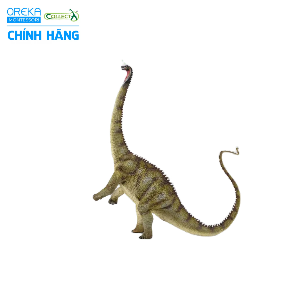 Mô hình động vật: Khủng Long Diplodocus