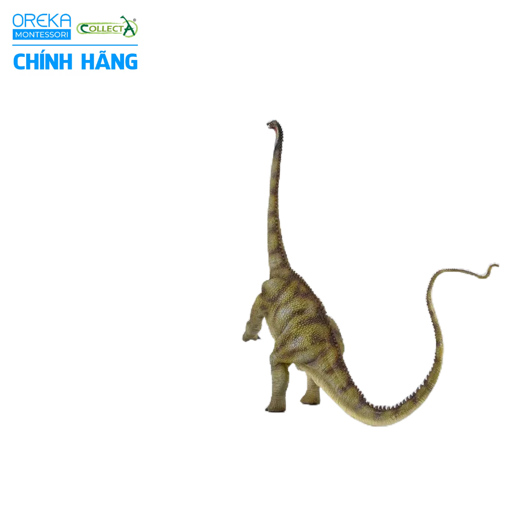 Mô hình động vật: Khủng Long Diplodocus