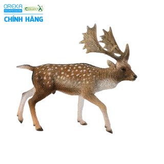 Mô hình động vật: Hươu