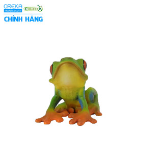 Mô hình động vật: Ếch cây mắt đỏ