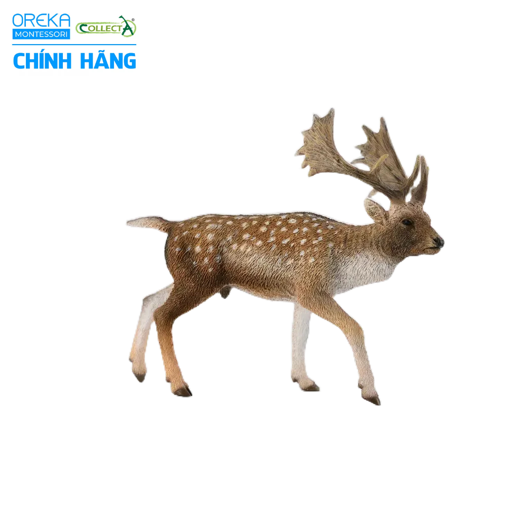 Mô hình động vật: Hươu