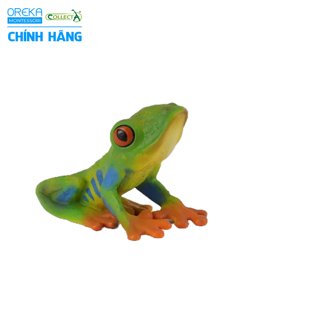 Mô hình động vật: Ếch cây mắt đỏ