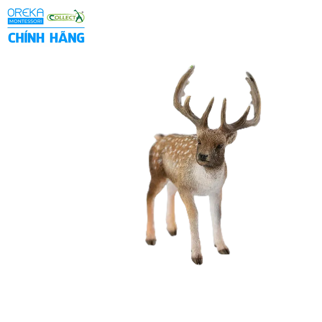 Mô hình động vật: Hươu