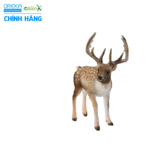 Mô hình động vật: Hươu
