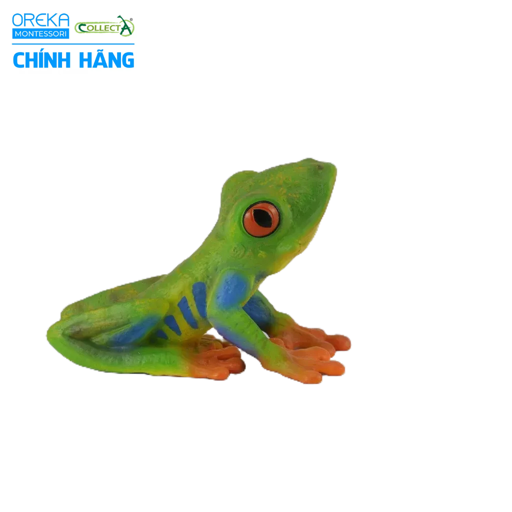 Mô hình động vật: Ếch cây mắt đỏ