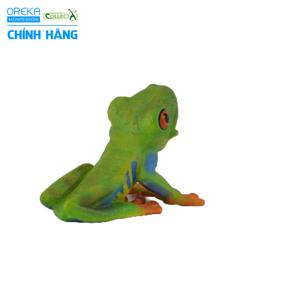 Mô hình động vật: Ếch cây mắt đỏ