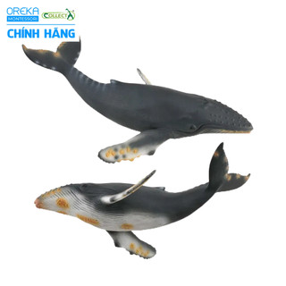 Mô hình động vật: cá voi lưng gù
