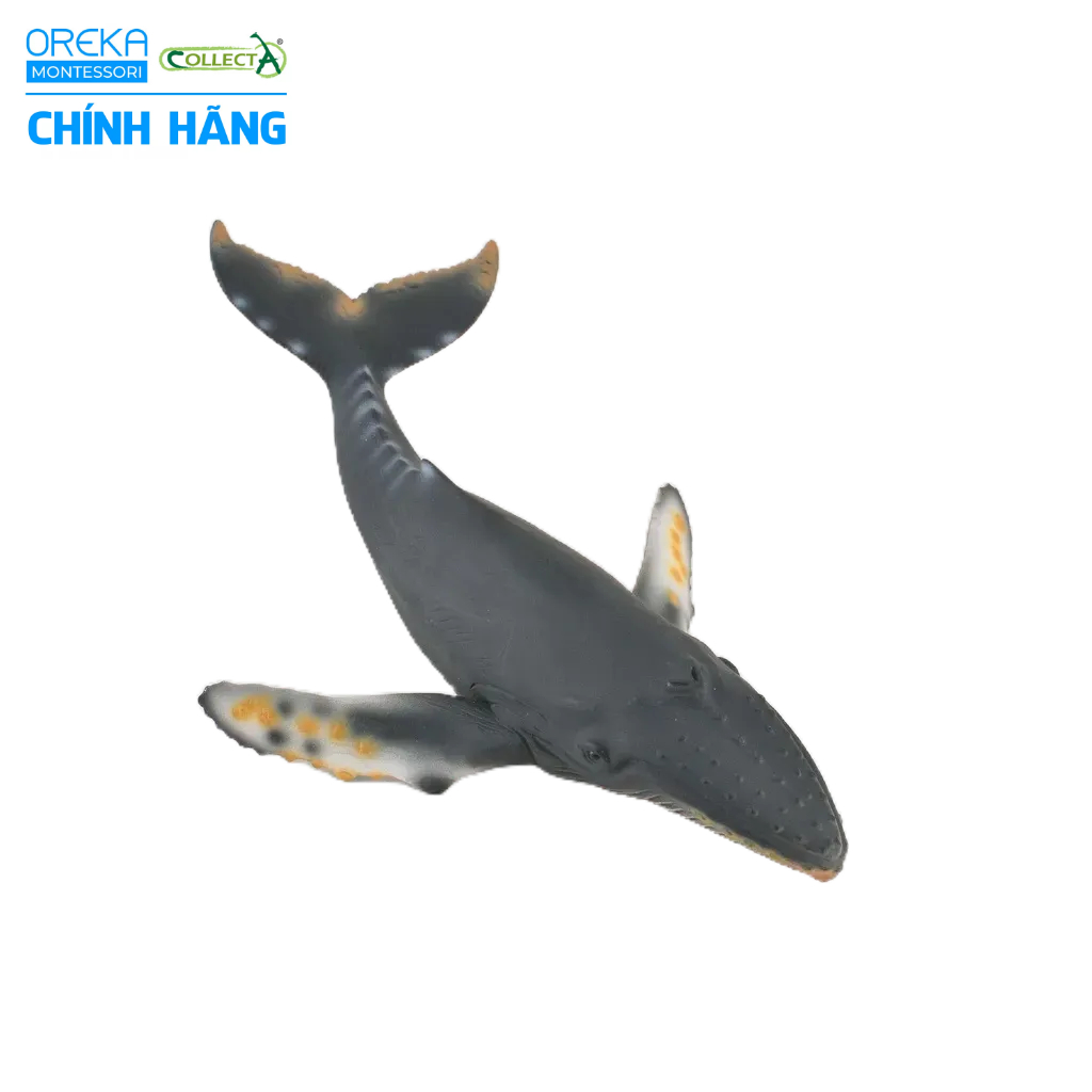 Mô hình động vật: Cá Voi Lưng Gù