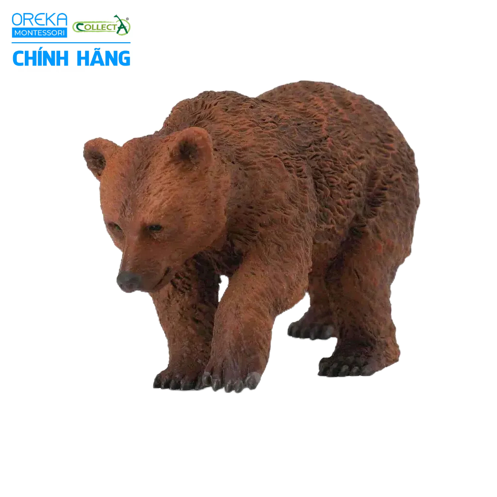 Mô hình động vật: Gấu Nâu con