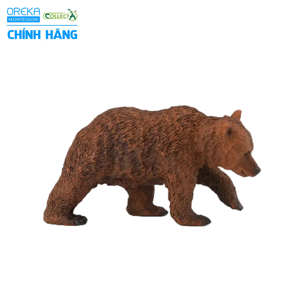 Mô hình động vật: Gấu Nâu con