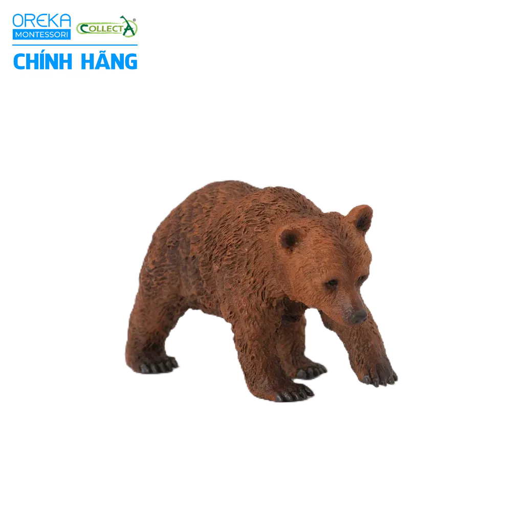 Mô hình động vật: Gấu Nâu con