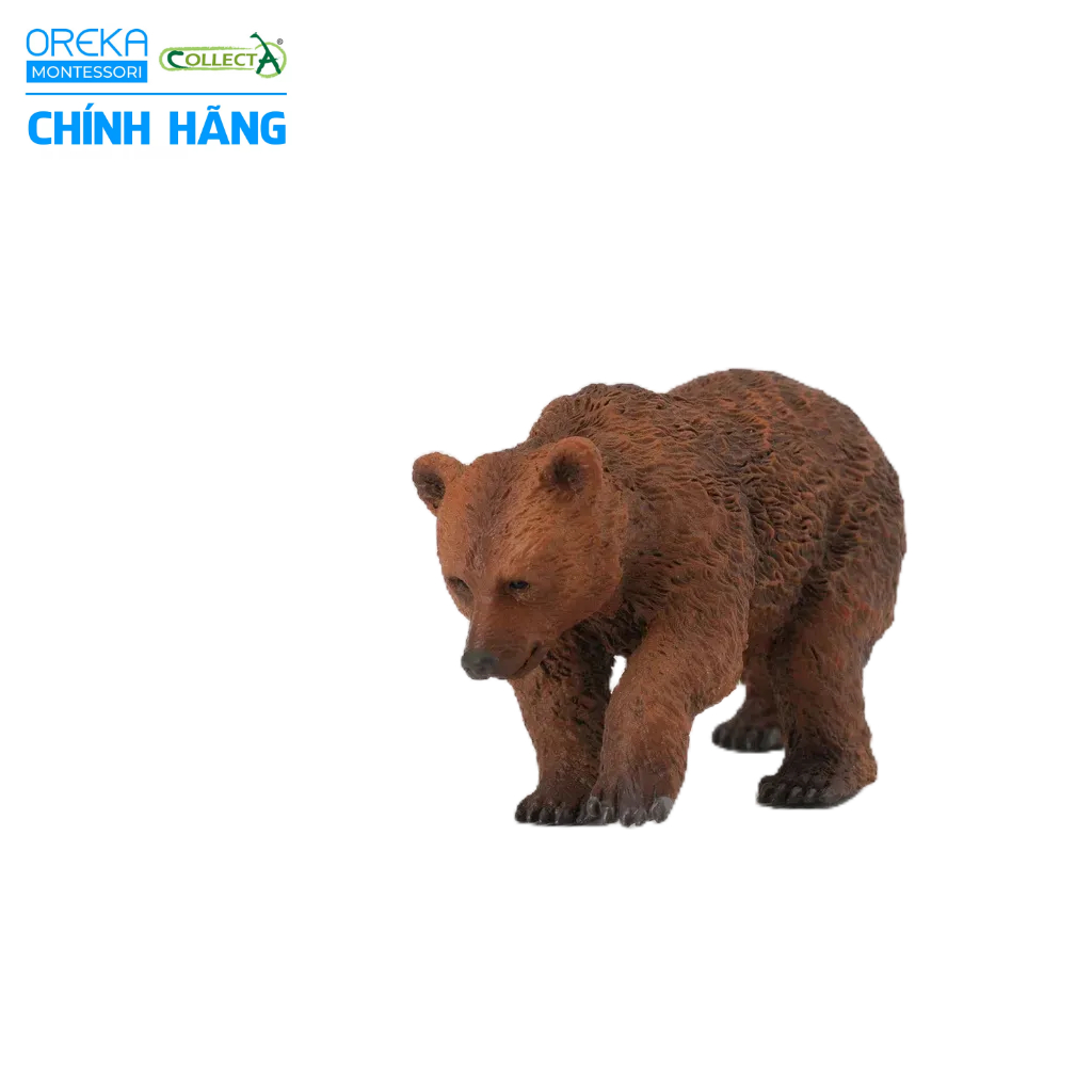 Mô hình động vật: Gấu Nâu con