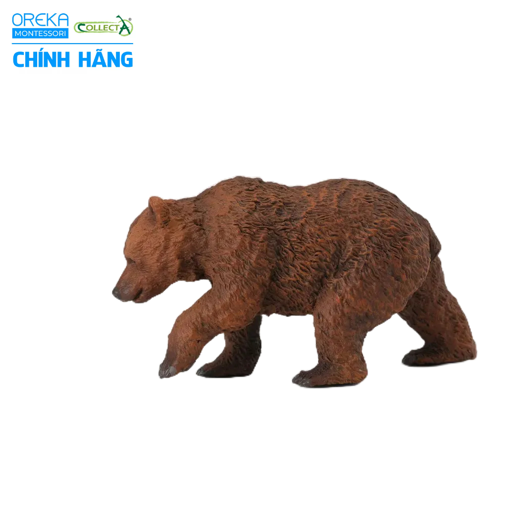 Mô hình động vật: Gấu Nâu con