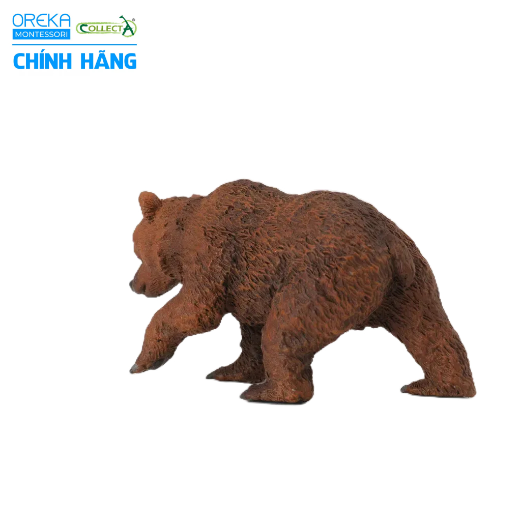 Mô hình động vật: Gấu Nâu con