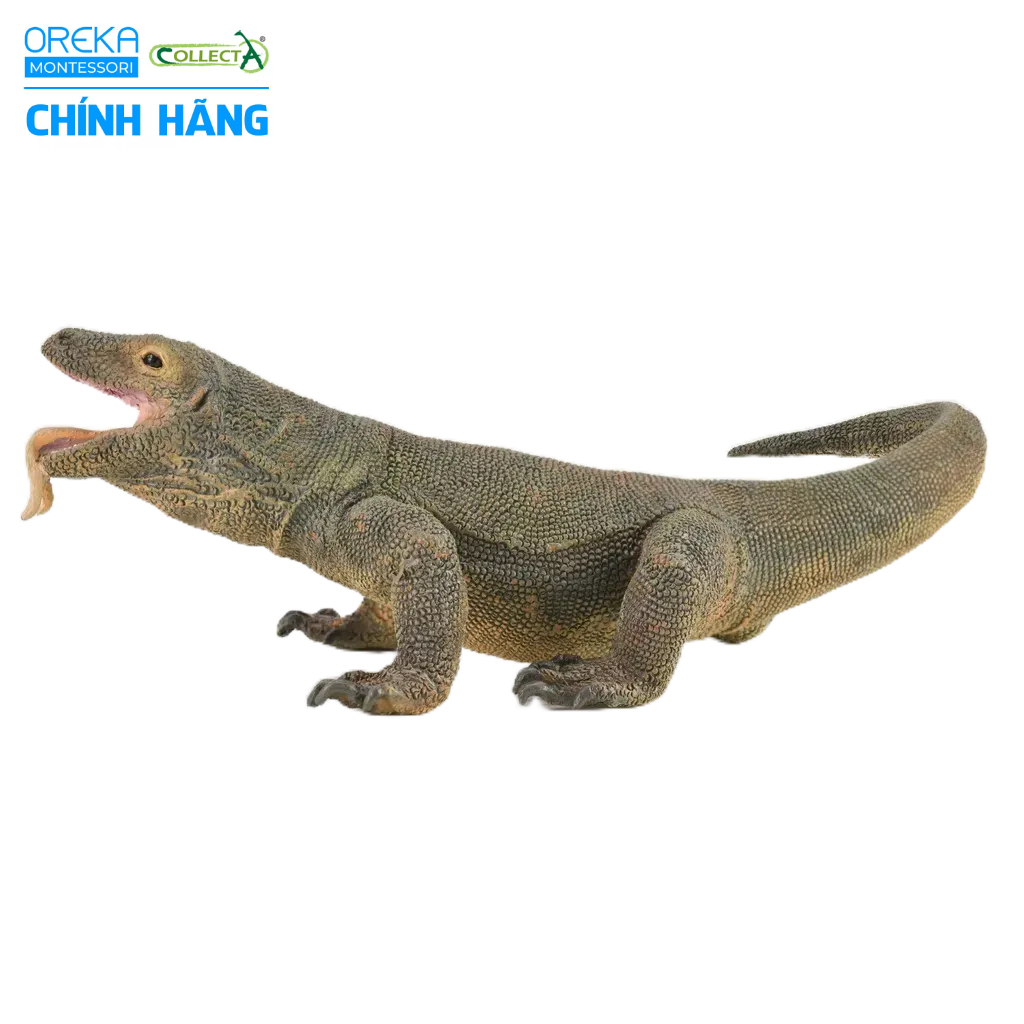 Mô hình động vật: Rồng Komodo