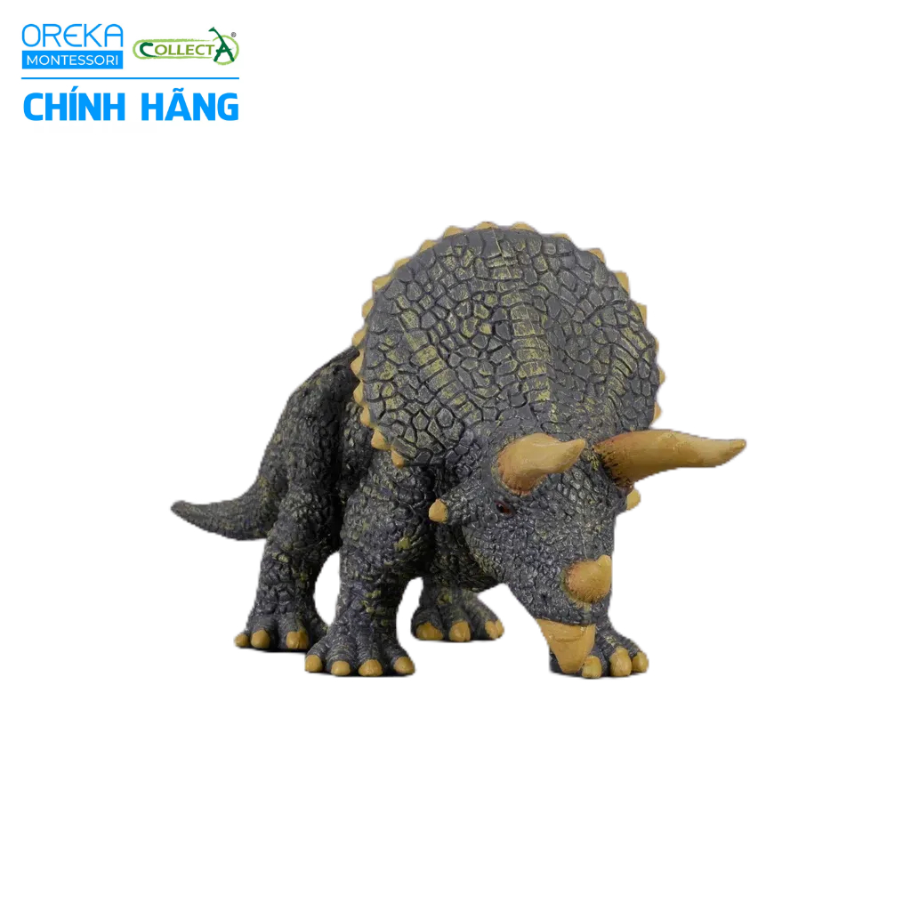 Mô hình động vật: Khủng Long Triceratops