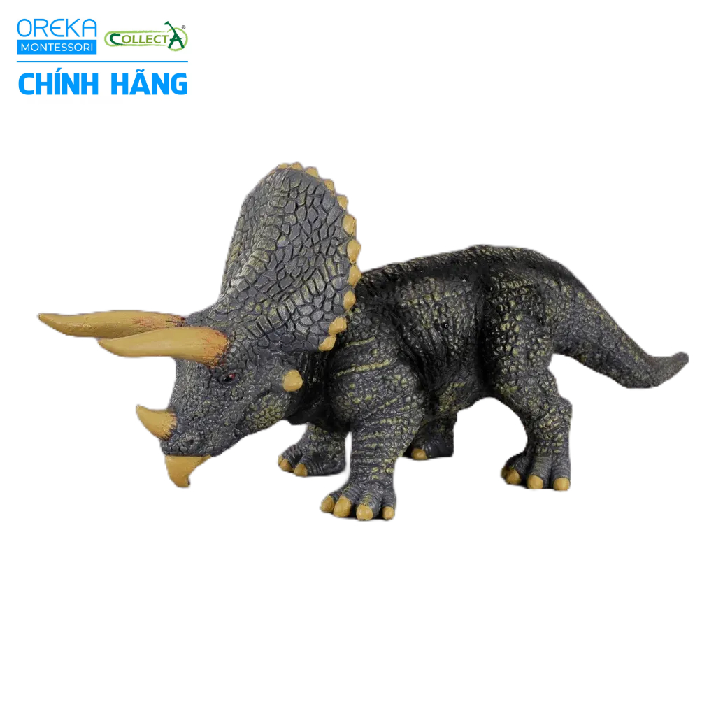Mô hình động vật: Khủng Long Triceratops