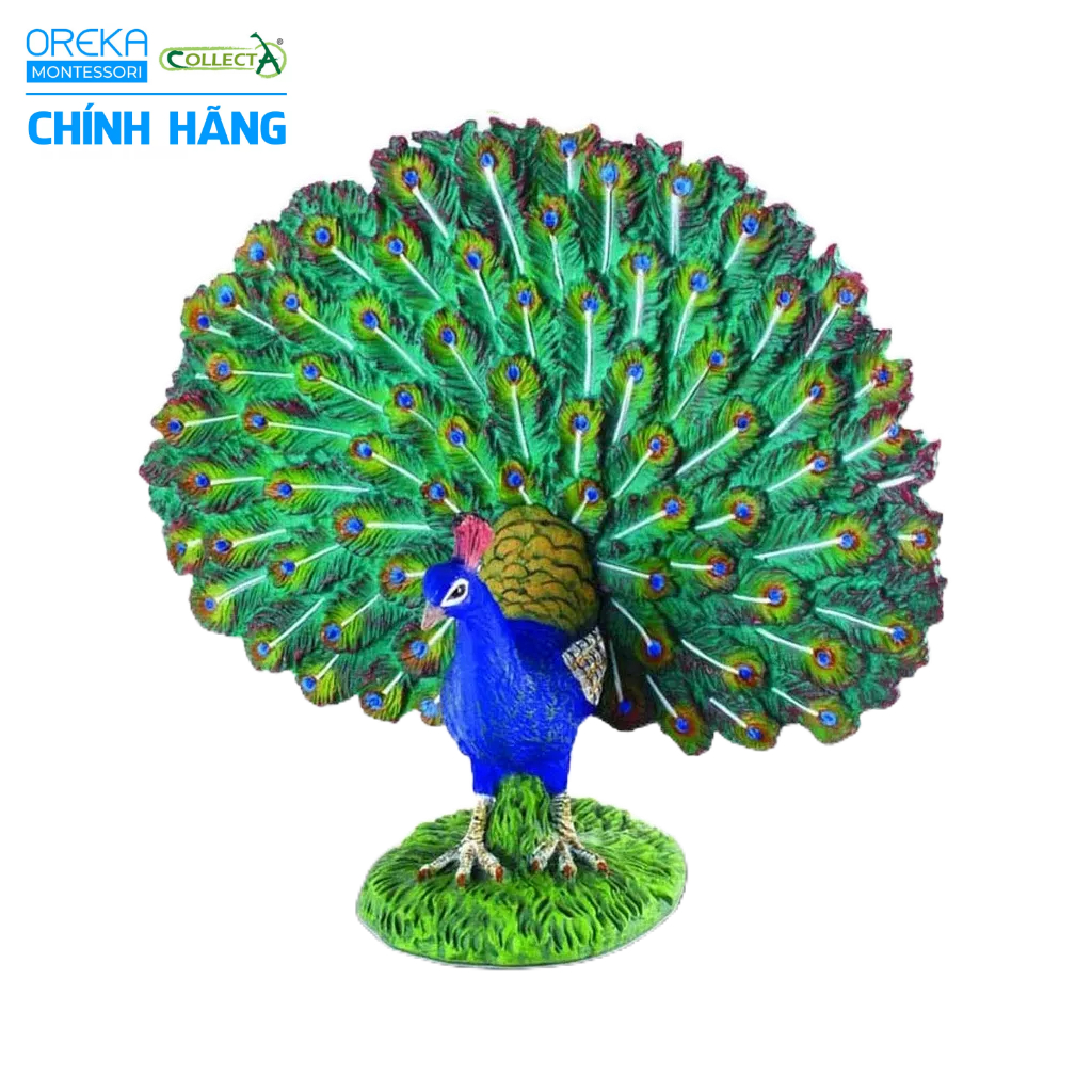 Mô hình động vật: Công