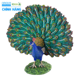 Mô hình động vật: Công