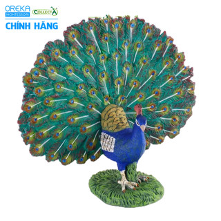 Mô hình động vật: Công