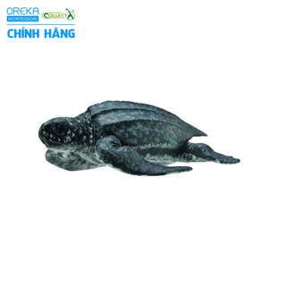 Mô hình động vật: Rùa Da