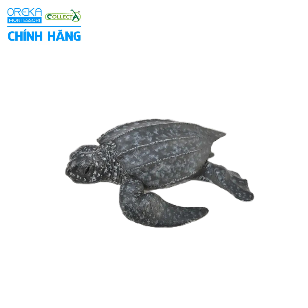 Mô hình động vật: Rùa Da