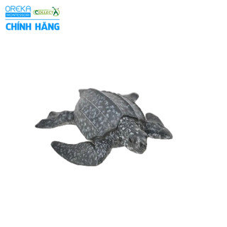 Mô hình động vật: Rùa Da