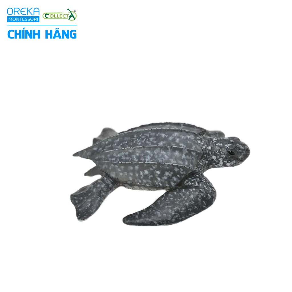 Mô hình động vật: Rùa Da