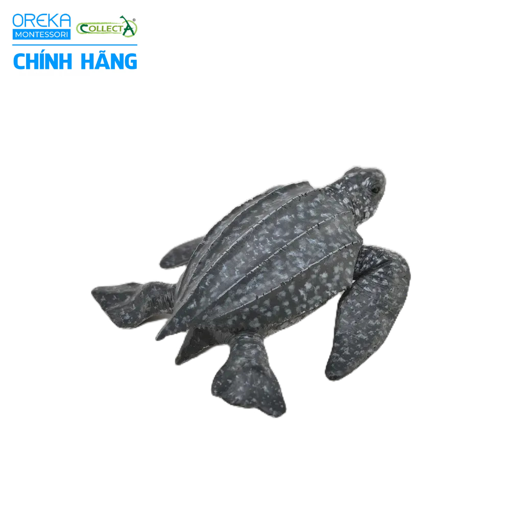 Mô hình động vật: Rùa Da