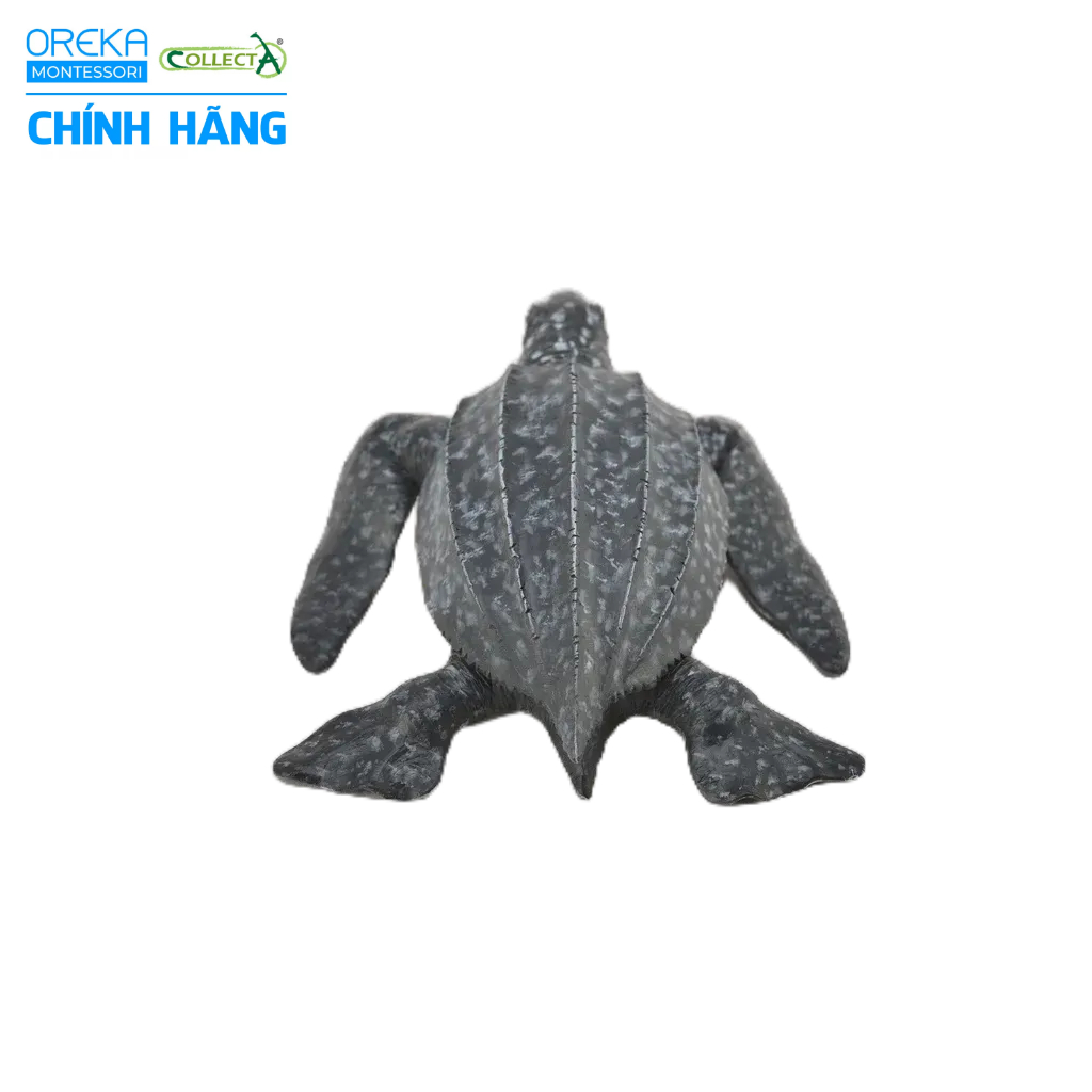 Mô hình động vật: Rùa Da